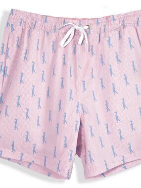 Southern Saint Men's Pink Striped Swim Trunks. Size small.
